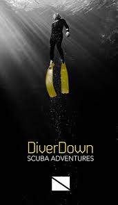 Image result for Southdown Divers