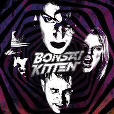 Kuvahaun tulos haulle bonsaikitten