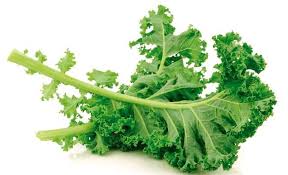 Image result for Grünkohl