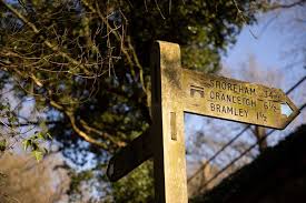 Image result for Shalford Cricket Club