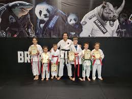 Image result for Bristol Dojo MMA