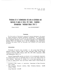 Attēlu rezultāti vaicājumam “Paramesus obtusifrons”