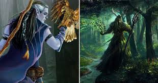Image result for druid