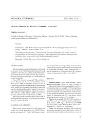 Attēlu rezultāti vaicājumam “Physarum rubiginosum”