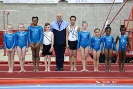Image result for Mk Springers Gymnastics Club