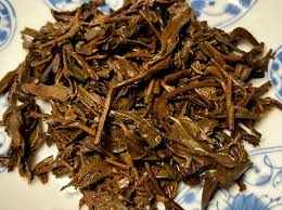 Image result for 2011早春