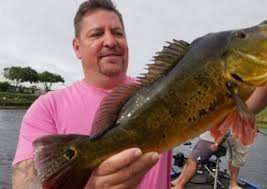 Image result for Carpiodes velifer