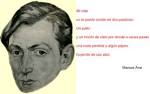 Top Marco Anna News