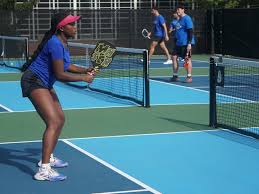 Image result for Lockerbie Pickleball Club