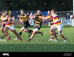 Image result for Hinckley Rugby Football Club