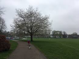 Image result for Faversham Recreation Bowling Club