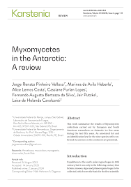 Attēlu rezultāti vaicājumam “Dianema nivale sessile”