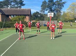 Image result for Robins Netball Club