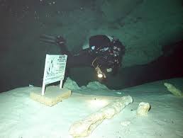 Image result for Abyss Dive Club