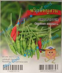 Afbeeldingsresultaat voor thai bird pepper hot pepper