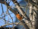 Weird Spring Weather Pics - Spring Weather Photos - The Daily Green