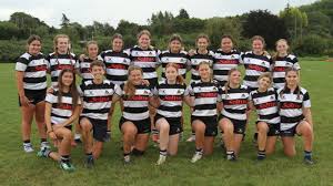 Image result for Farnham Royal Rufc