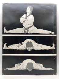 Image result for Hed Tkd (Dorking Tae Kwon-Do)