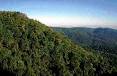 Biomes