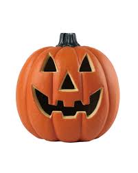 Image result for Kürbis