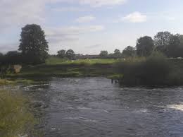 Image result for Hull & District Anglers' Association