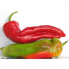 Afbeeldingsresultaat voor aconcagua sweet pepper