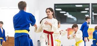 Image result for Bradley Stoke Judo Club