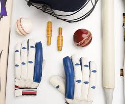 Image result for St Ives Cricket Club