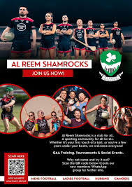 Image result for Shamrocks Hurling & Football Club