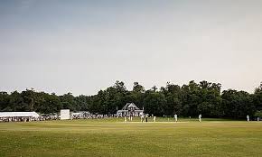 Image result for Buscot Park Cricket Club