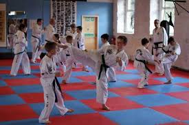 Image result for middlesbrough karate academy