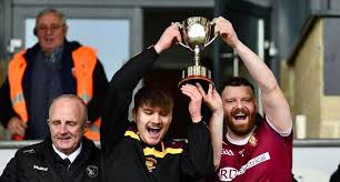 Image result for Sean Treacy`s Hurling Club