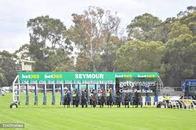 Image result for Thoroughbreds Netball Clubs