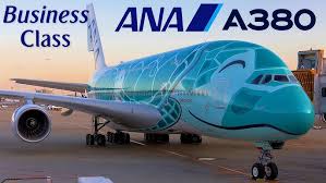Image result for ana