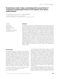 Attēlu rezultāti vaicājumam “Cinclidotus danubicus cells”