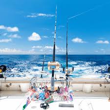 Image result for Seabrook Sea Anglers Association