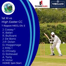 Image result for High Easter Cricket Club