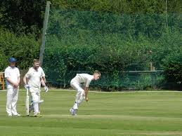 Image result for Luctonians Cricket Club
