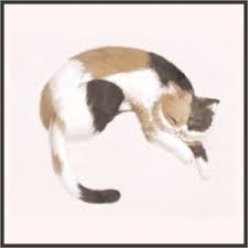 猫次郎에 대한 이미지 검색결과