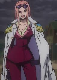 「ヒナ ONE PIECE」の画像検索結果