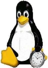 Image result for linux penguin