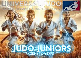 Image result for Universal Judo Academies