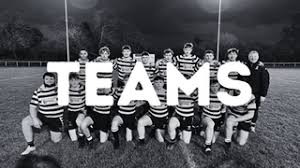 Image result for Heworth Amateur Rugby League Club