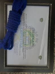 Image result for Cordao De Ouro Capoeira