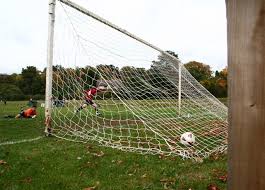 Image result for Shalford F C