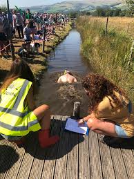 Image result for Bog Snorkelling Championships