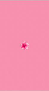 Image result for розовые обои