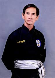 Image result for Chang's Hapkido Club