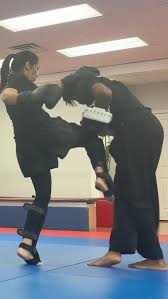 Image result for Suwanee Martial Arts Center