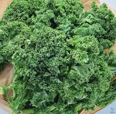 Image result for Grünkohl